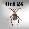 10/24 [PROV] Jewelry Bug Workshop