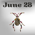 6/28 [PROV] Jewelry Bug Workshop