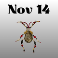11/14 [Boston] Jewelry Bug Workshop